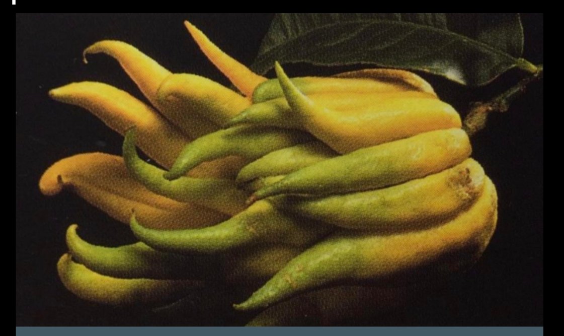 *ੈ✩‧₊˚hyomsie // in malevolent phase tweet media