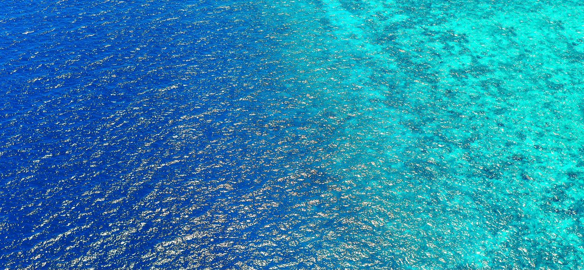 محمد بديري tweet media