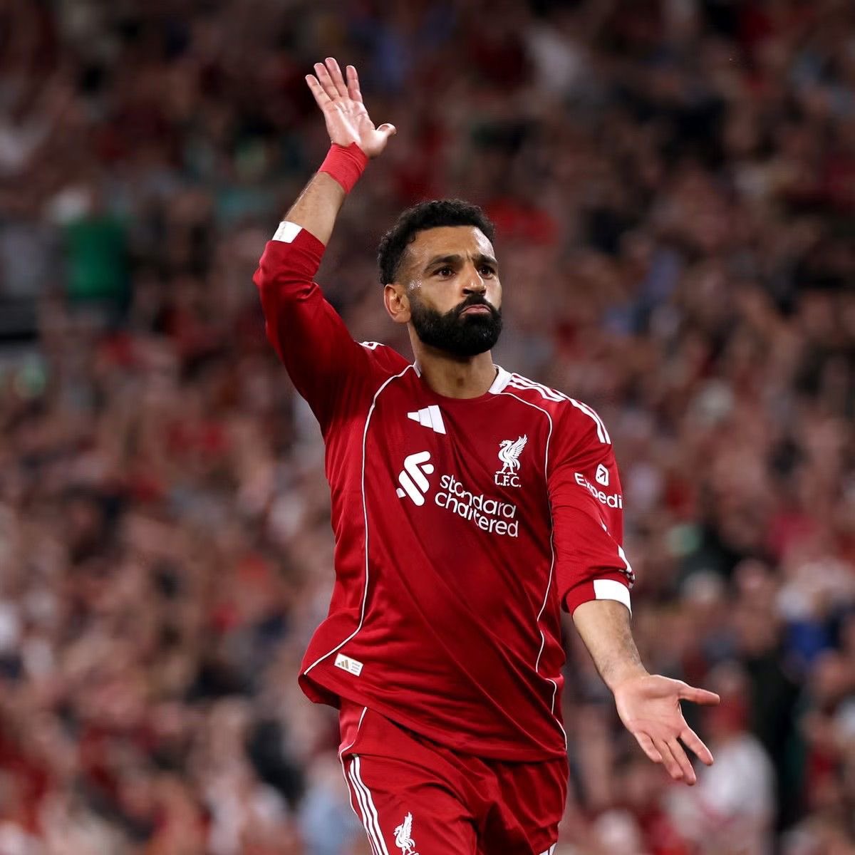 OFF THE BENCH tweet media