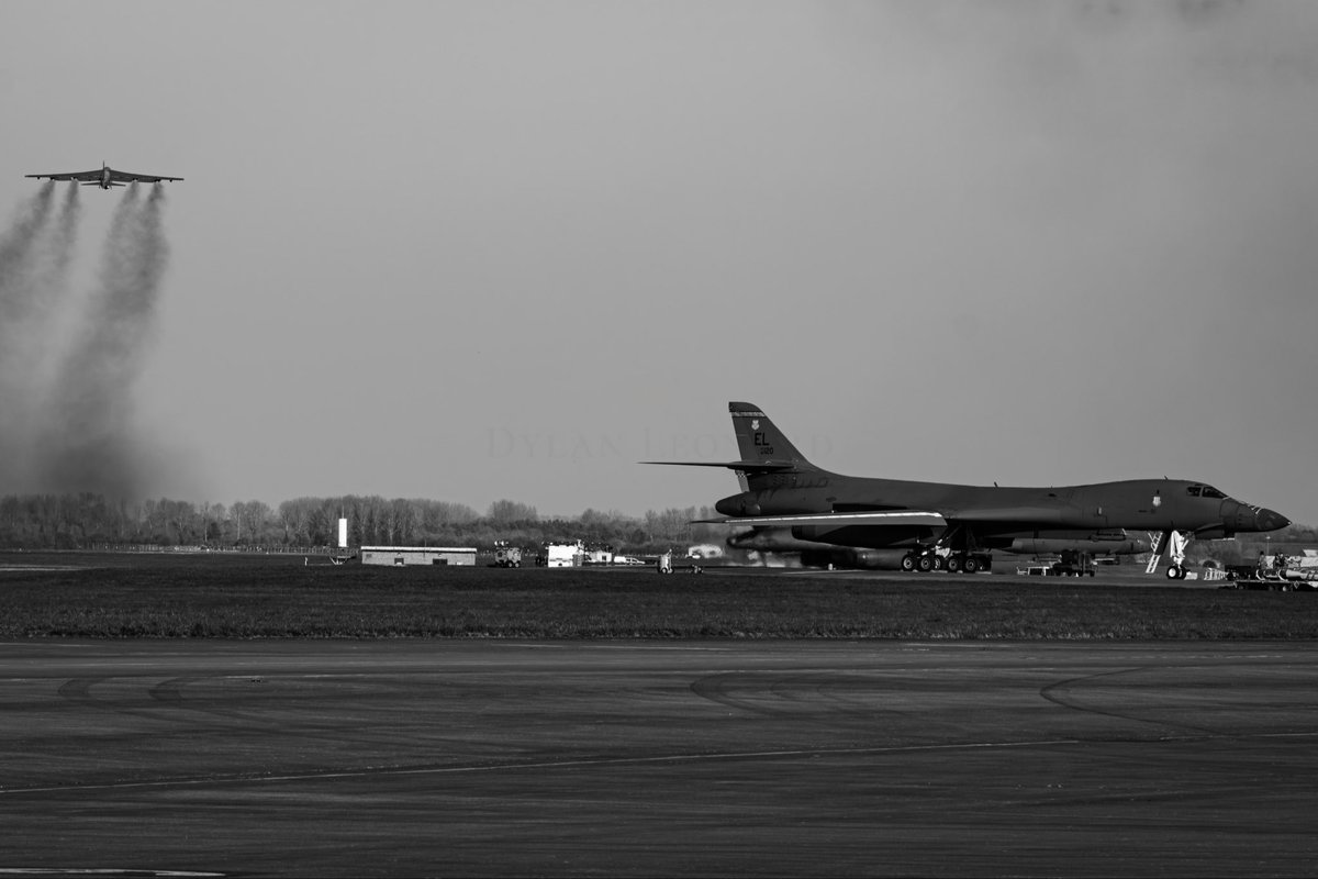 Dylan Leonard tweet media