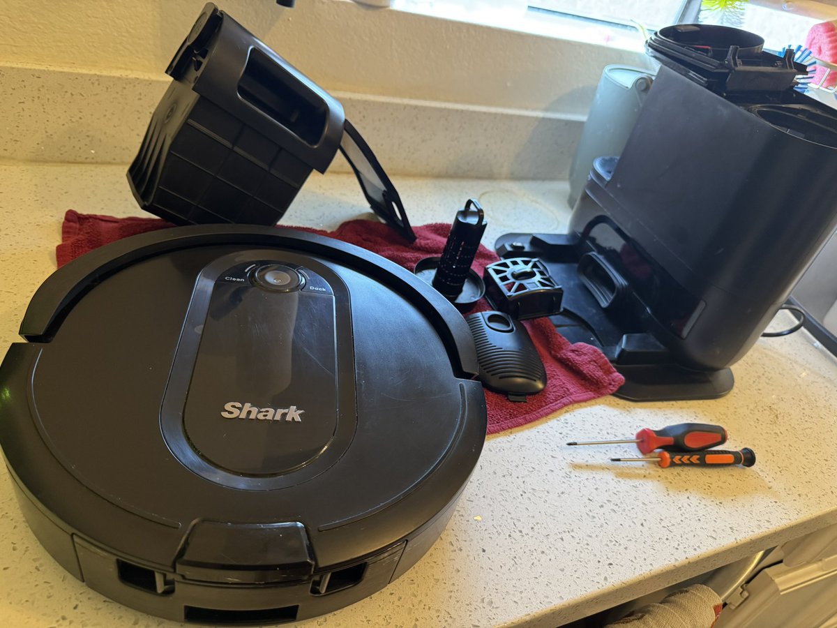 Splat Fennec 🔜 LVFC tweet media