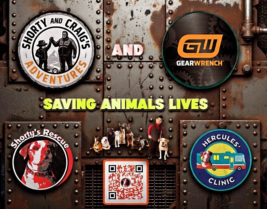 Luigi Shorty Rossi tweet media