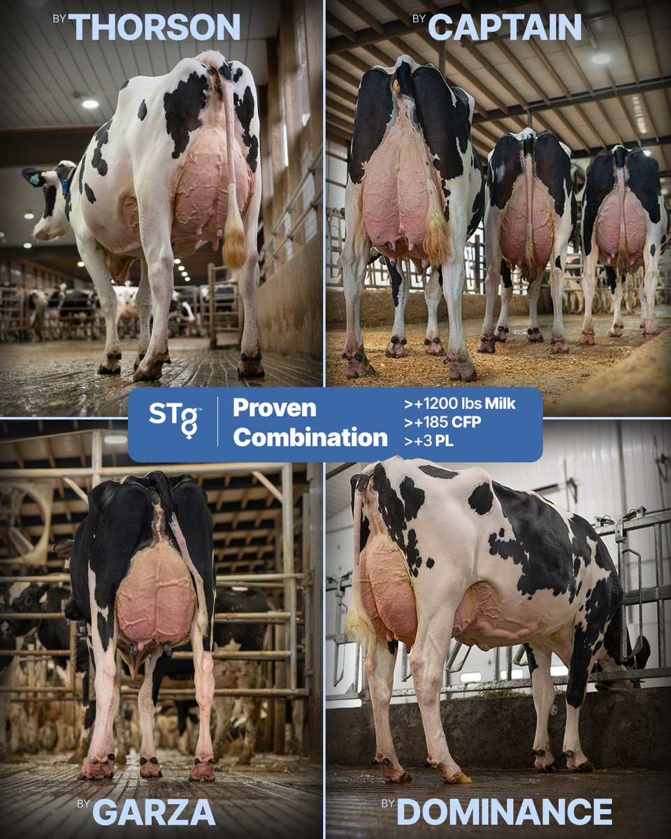 STgenetics tweet media