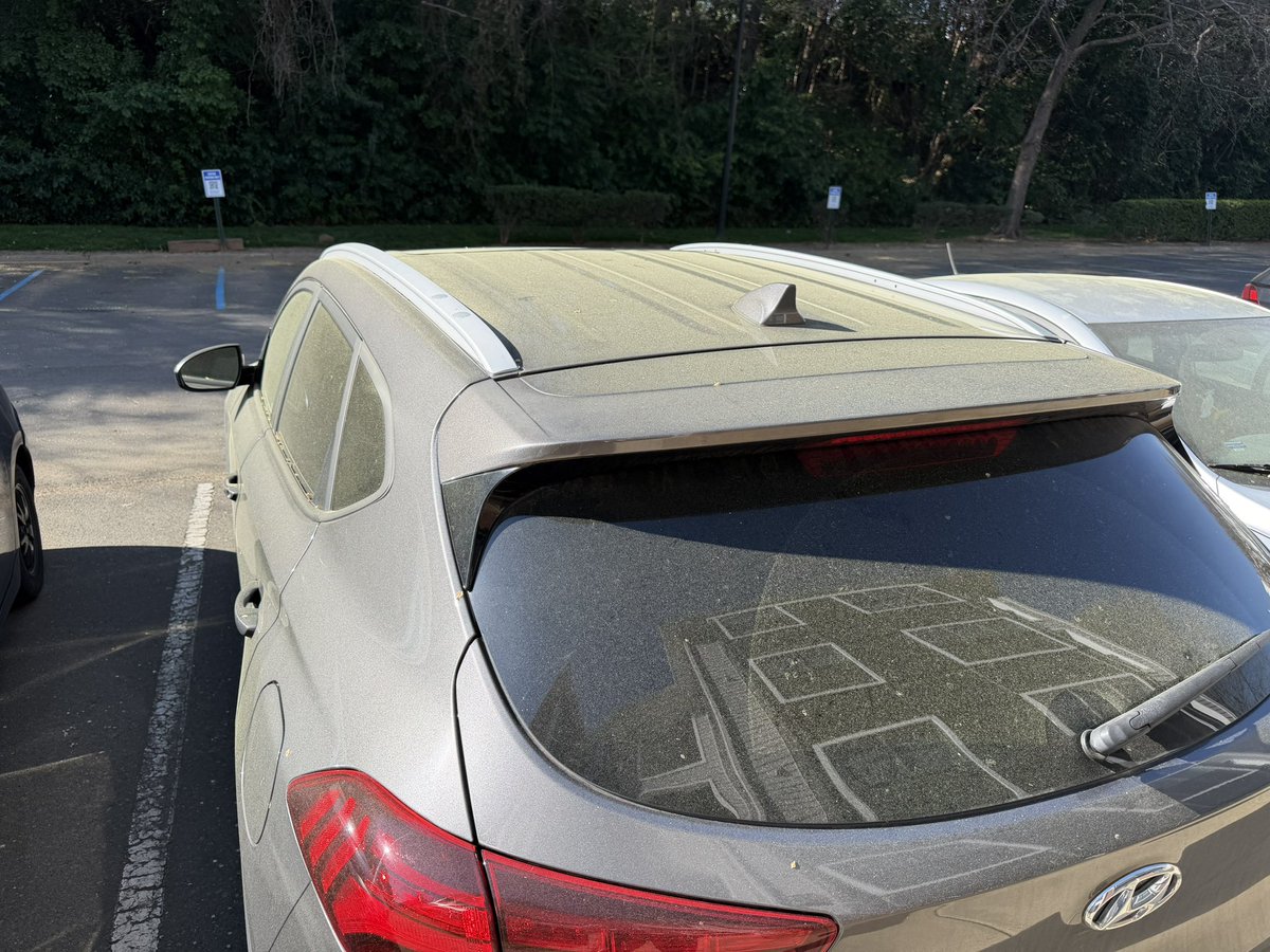 The pollening is here….