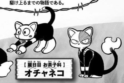 Cat-llie | Cal tweet media