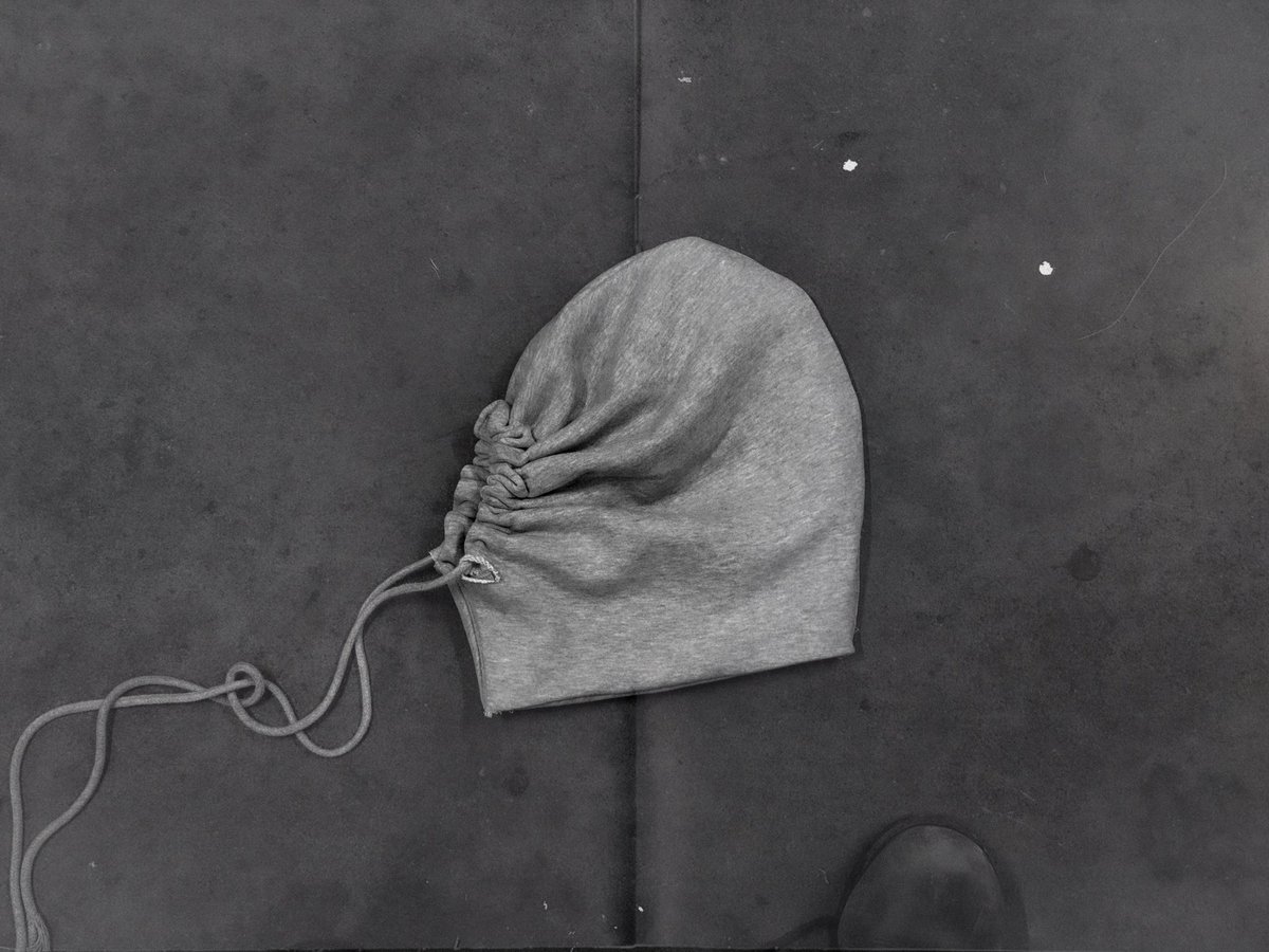 DAN LEVI tweet media