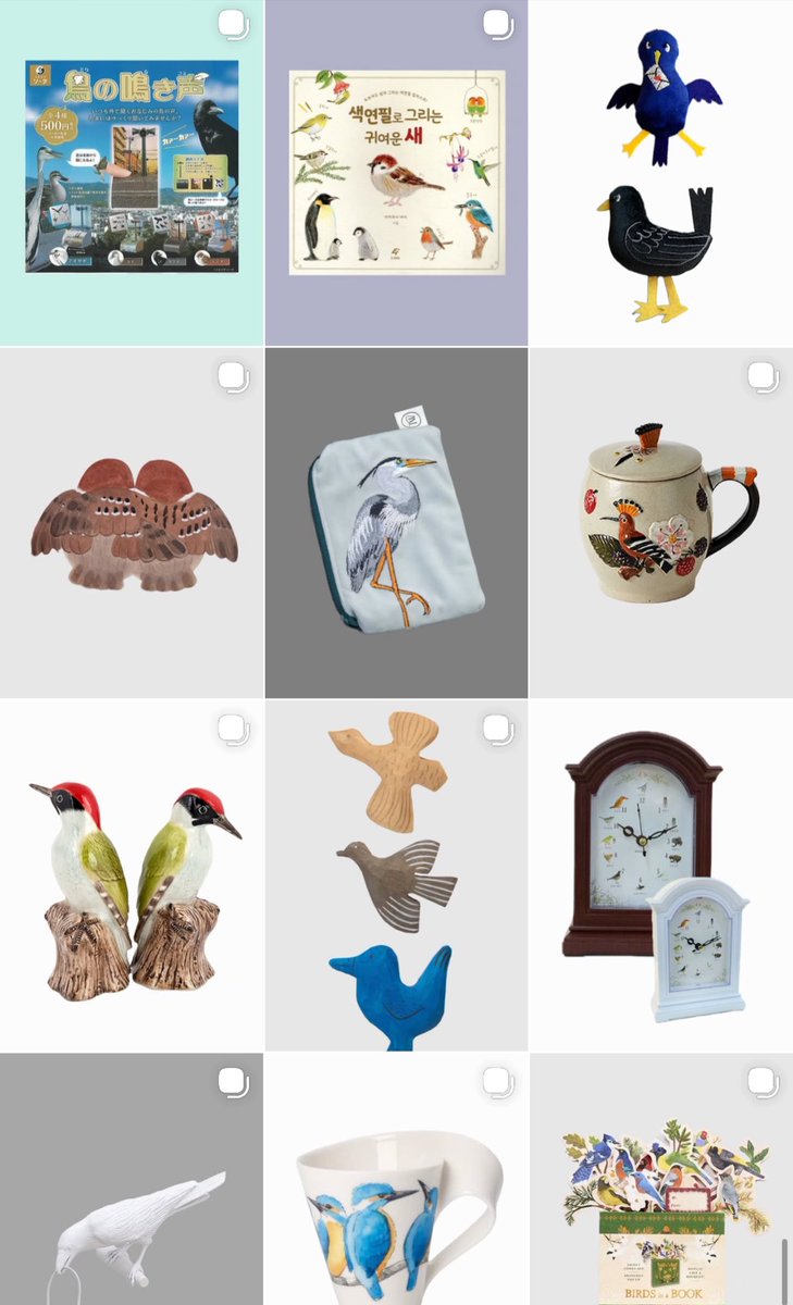 고방오리 オナガガモ 𓅰 tweet media