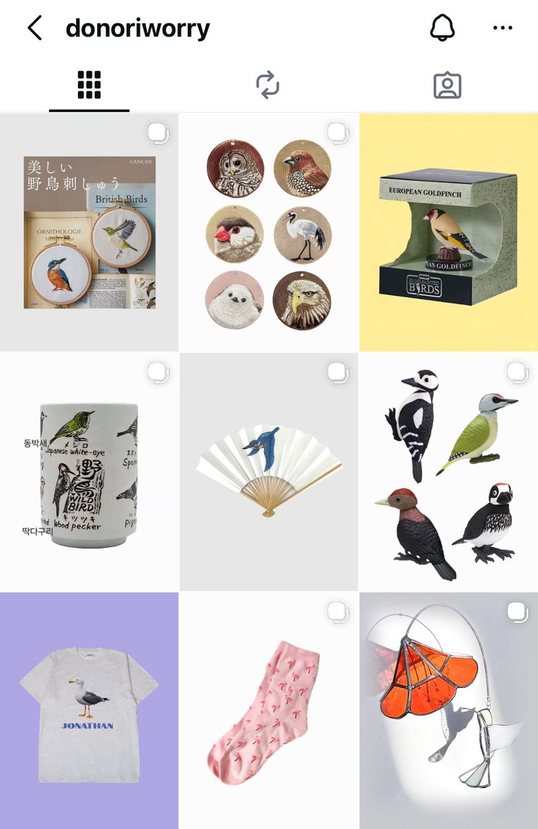 고방오리 オナガガモ 𓅰 tweet media