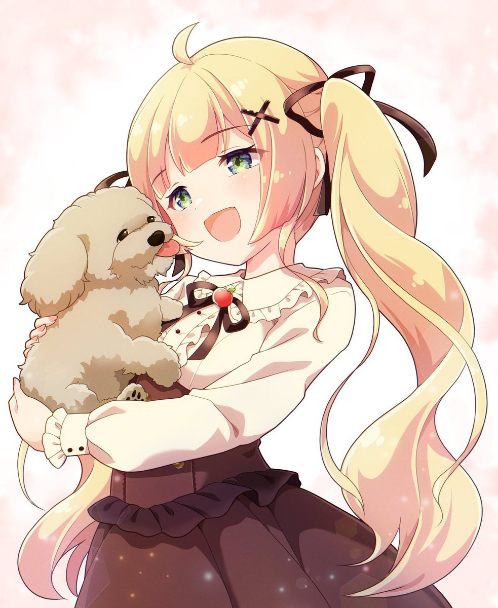 これはモカちゃん用です モカちゃん @moka_partner @photopartnerjp
