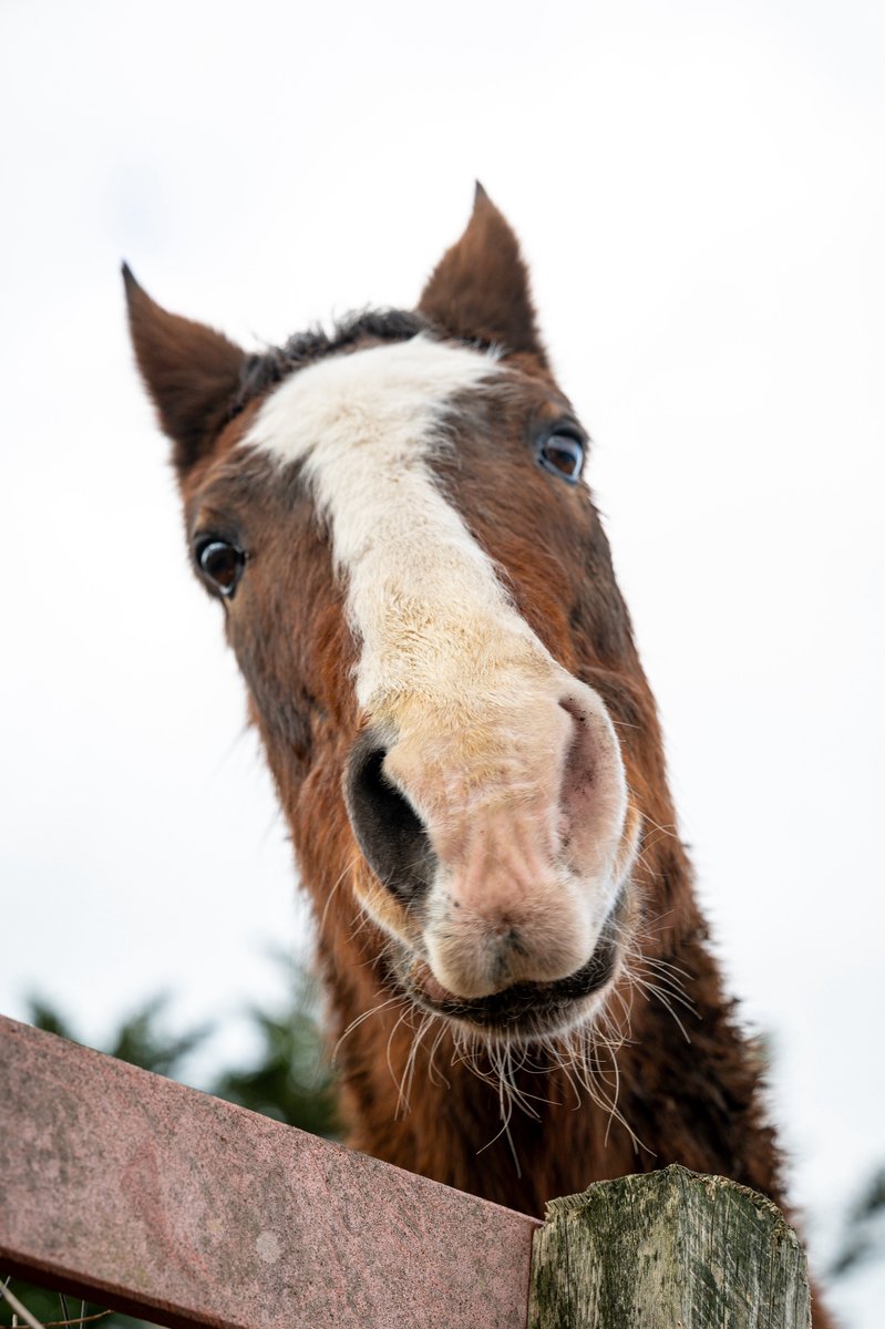 まりっぺ@うま tweet media