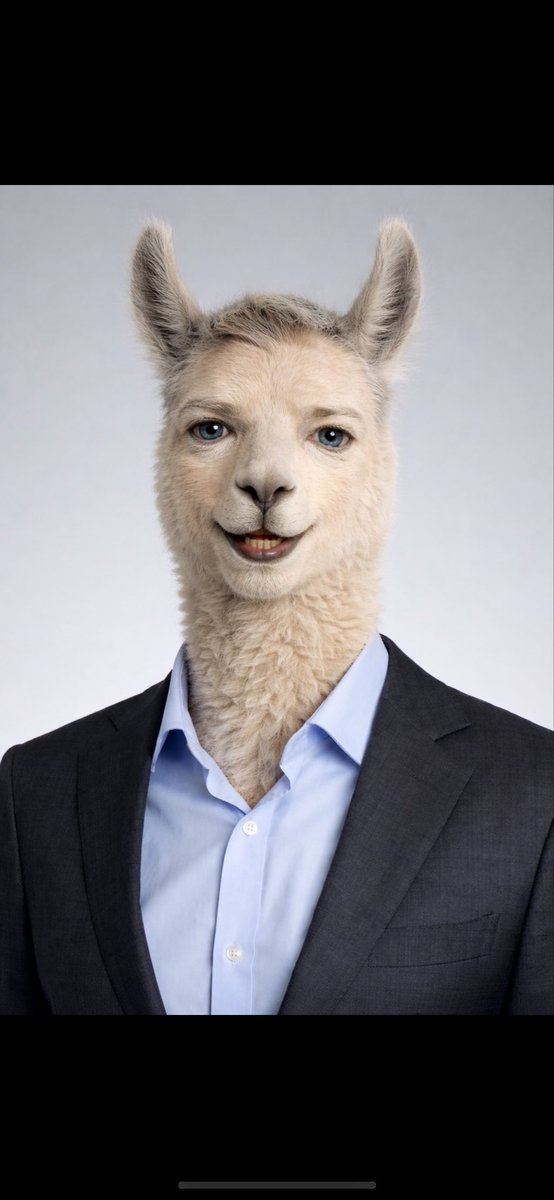 Luke Andrew Morris tweet media