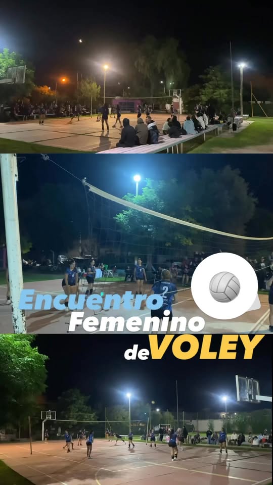 InfoMunicipios tweet media