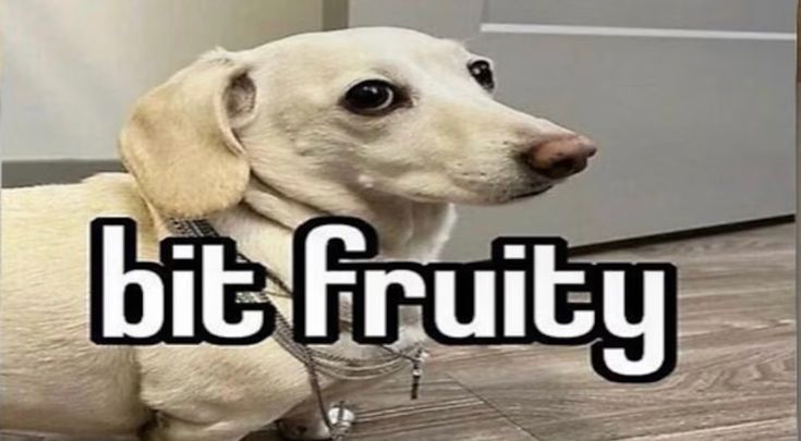 Mara || FREE 🍉 tweet media