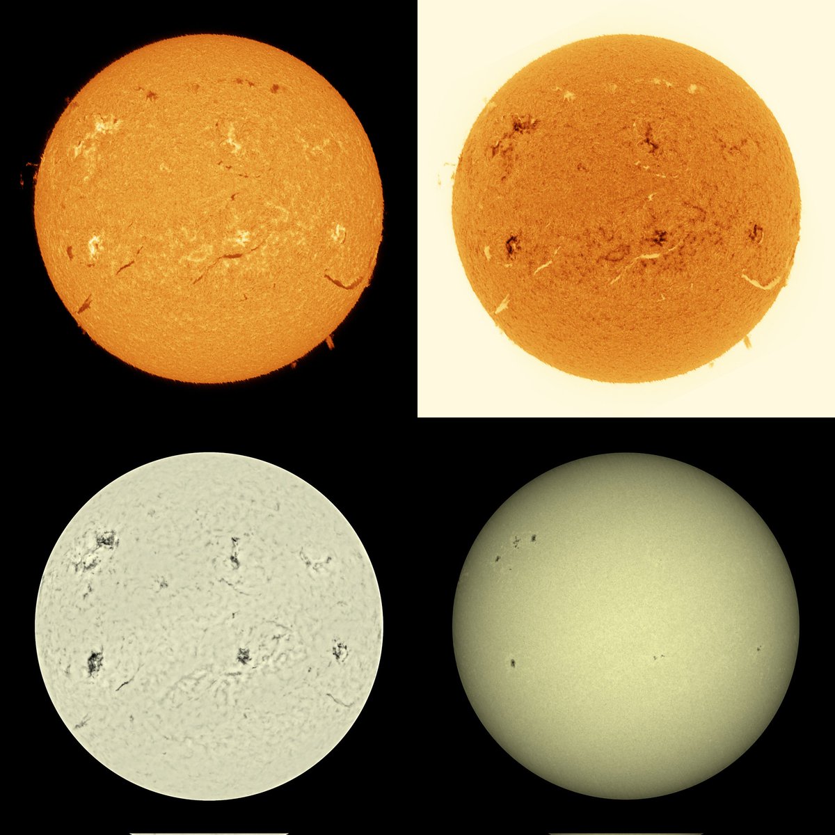 Mario 🪐🌒🌞🌌🔭🐸 tweet media