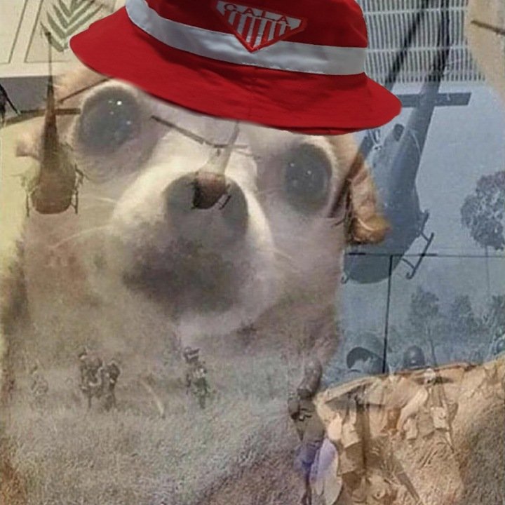 Pato De Lomas 🇦🇹 LBDM tweet media