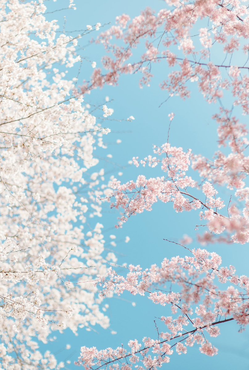 木佐貫直人/art6d tweet media