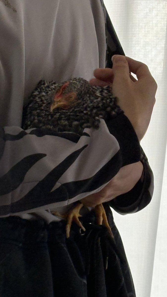 ちゃみ tweet media