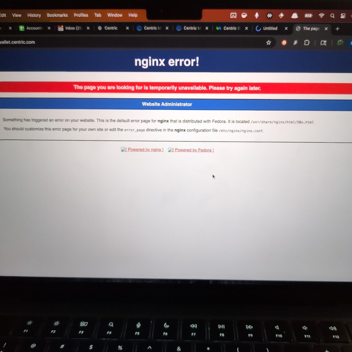 Crypto_6969 tweet media