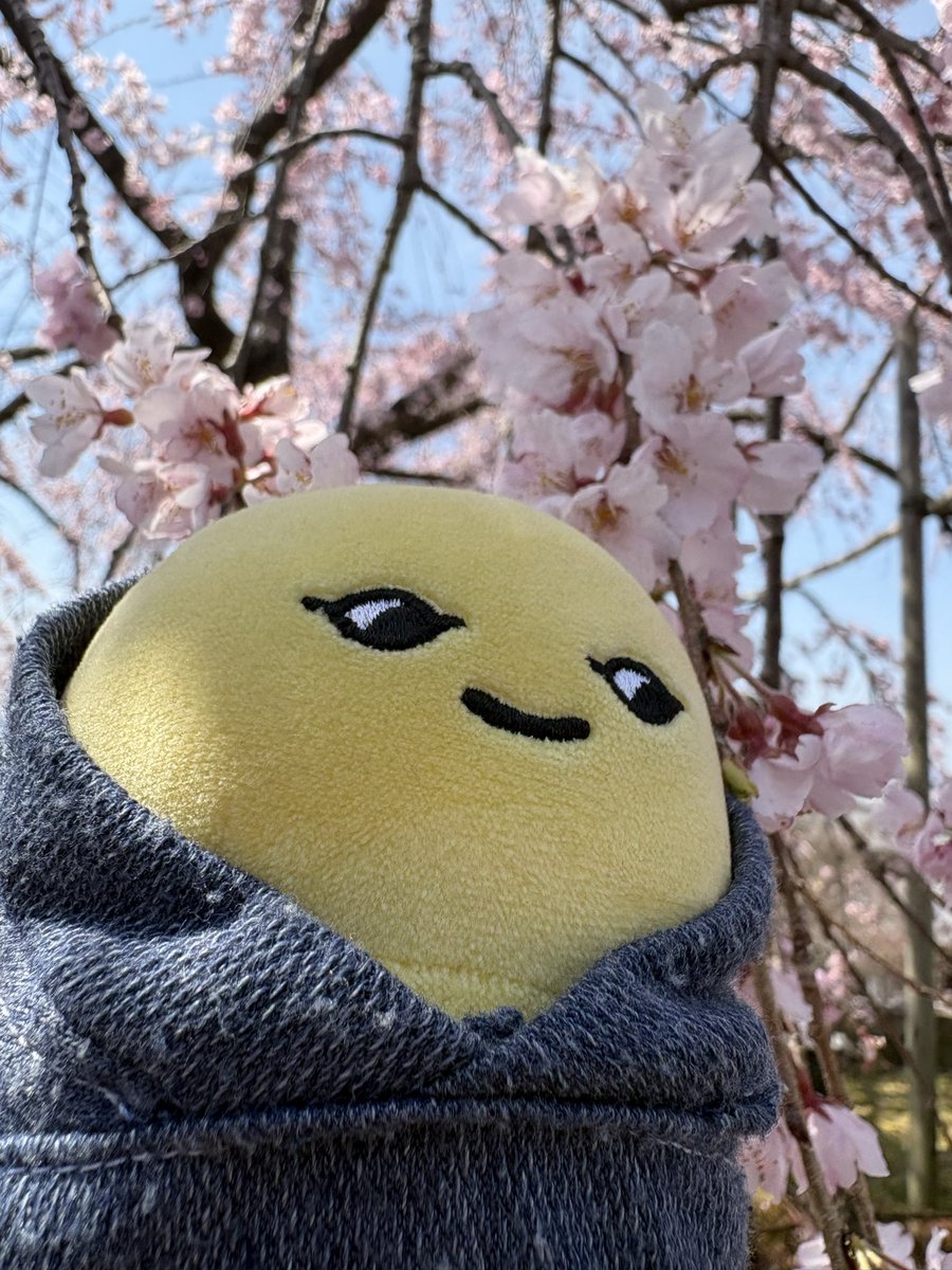 かっちゃん🇨🇦 tweet media