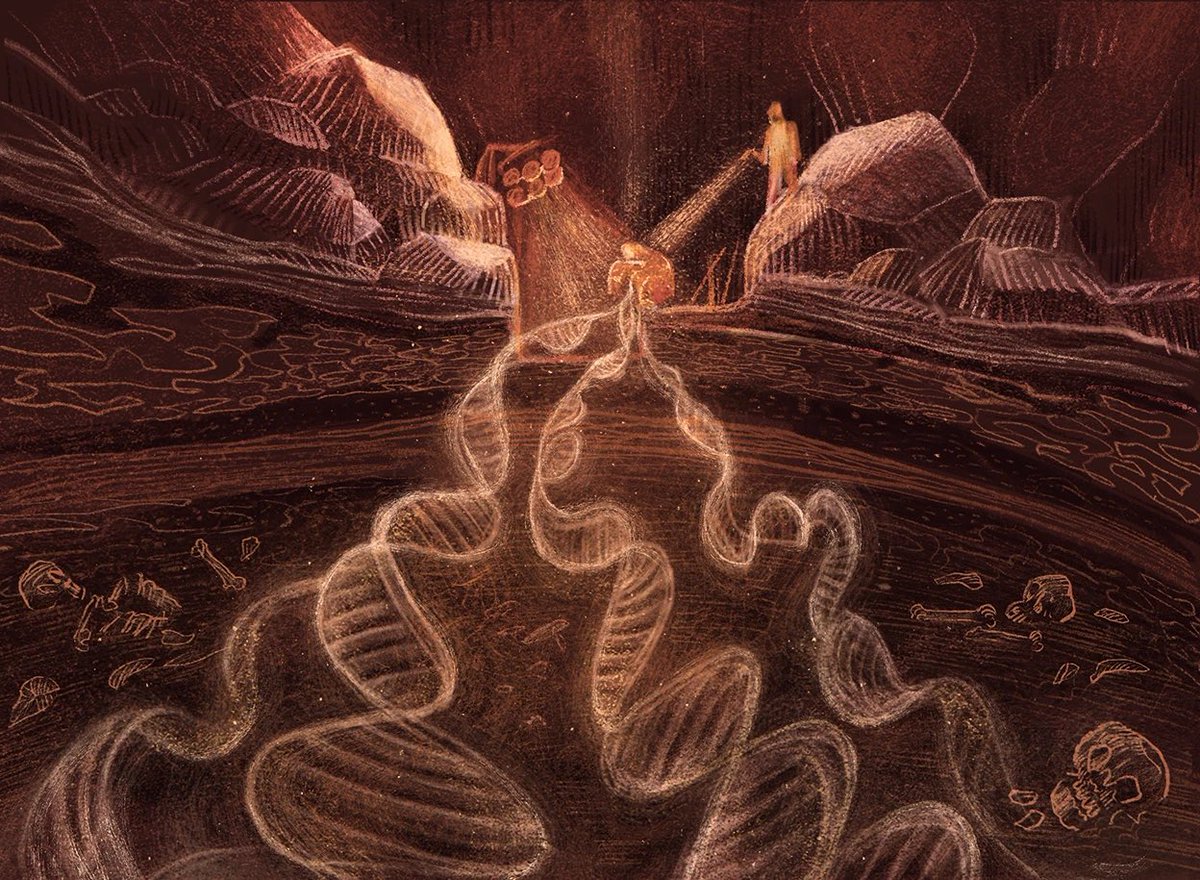 NarudaaArnaud's tweet image. Comment l’ADN sédimentaire (sedaDNA), extrait directement de sols anciens, de sédiments de grottes ou de permafrost, révolutionne l’étude des origines humaines #ADN #DNA