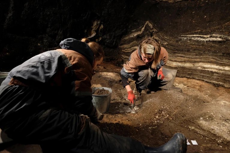 NarudaaArnaud's tweet image. Comment l’ADN sédimentaire (sedaDNA), extrait directement de sols anciens, de sédiments de grottes ou de permafrost, révolutionne l’étude des origines humaines #ADN #DNA