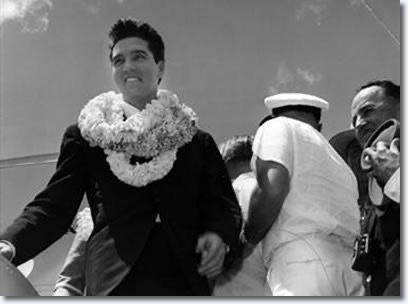 ElvisRose tweet media