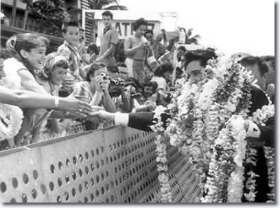 ElvisRose tweet media