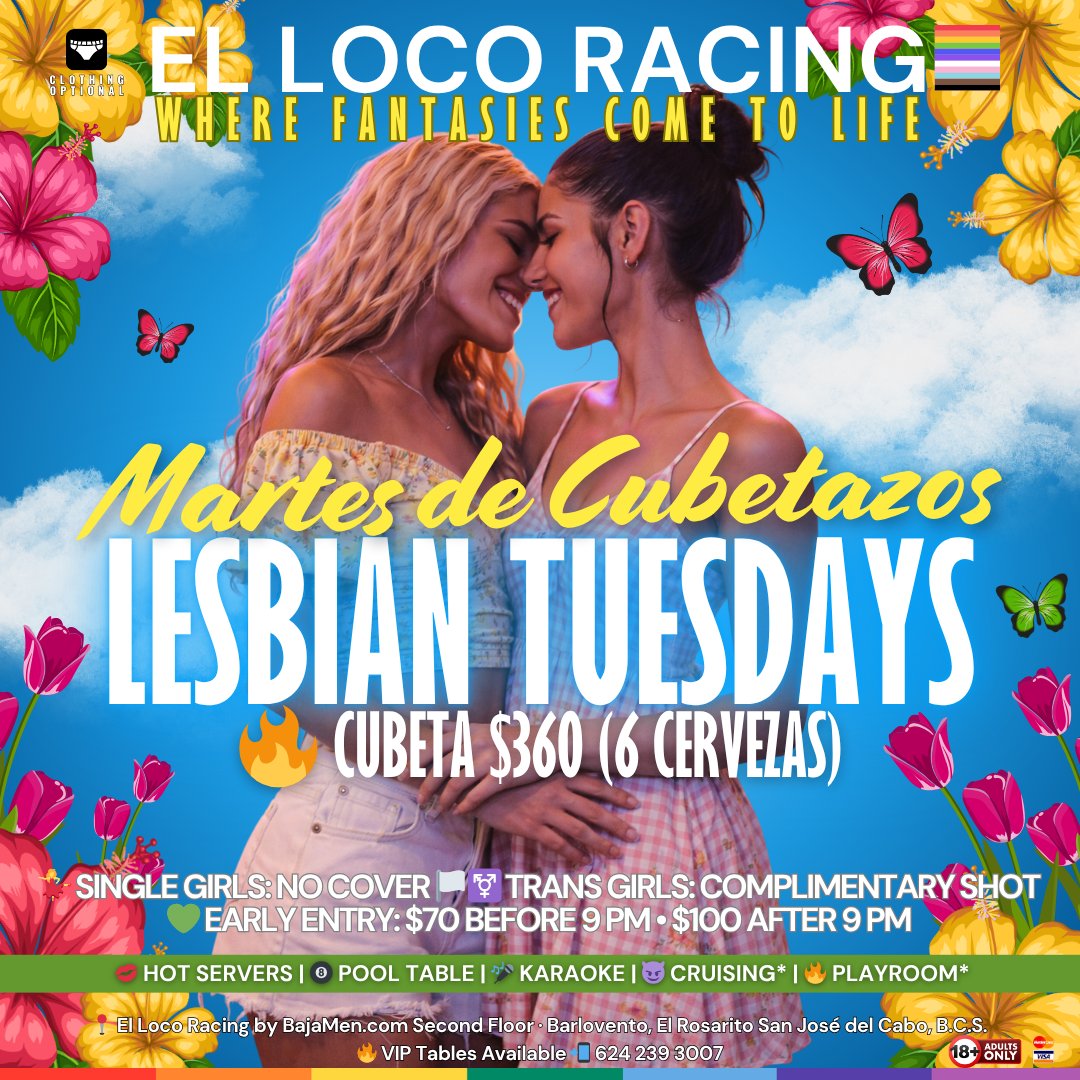 Baja Gay Guide tweet media