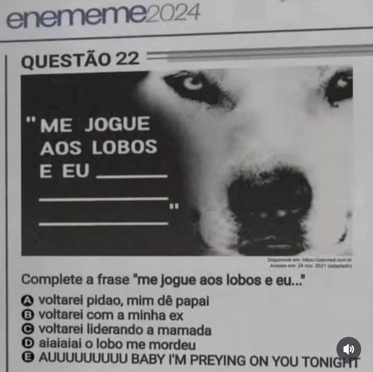 Shitpost só que de verdade tweet media