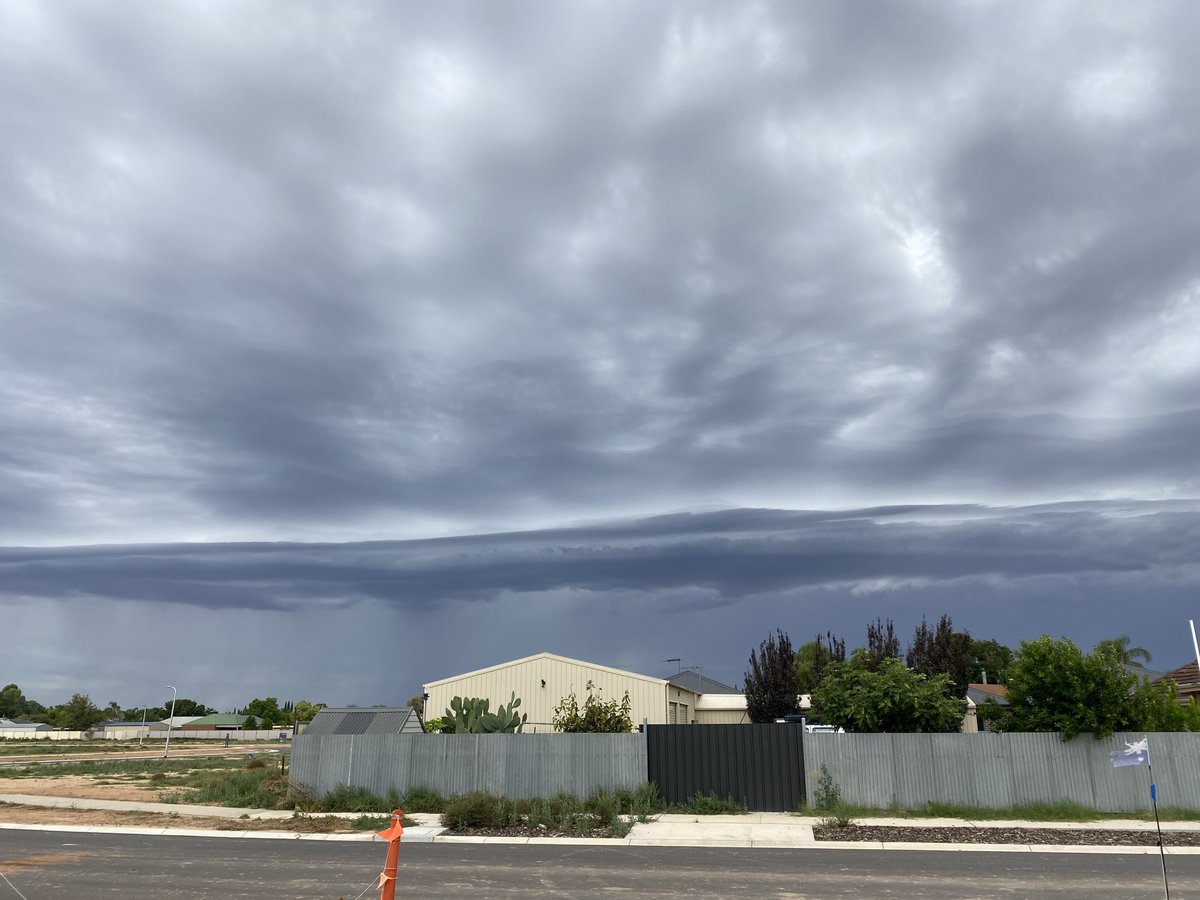 Charlie Bucket tweet media