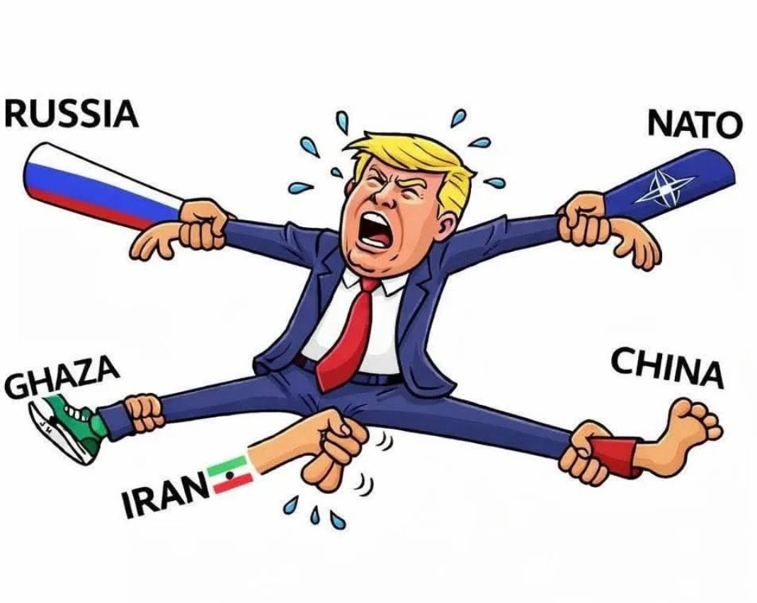 Alejandro Dumas tweet media