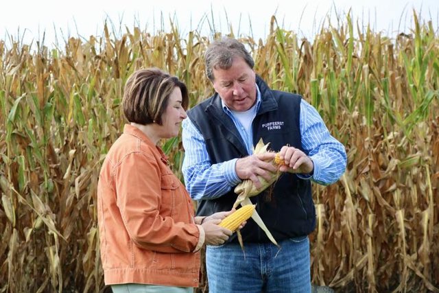 Senator Amy Klobuchar tweet media