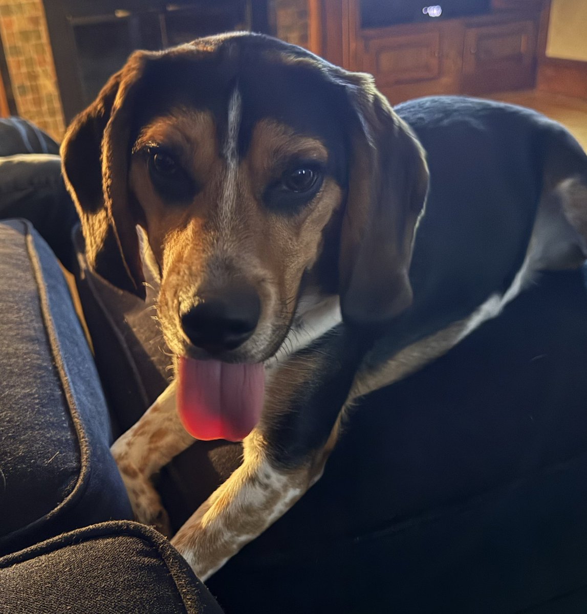 Cooper and🌈CharlieMurphy tweet media