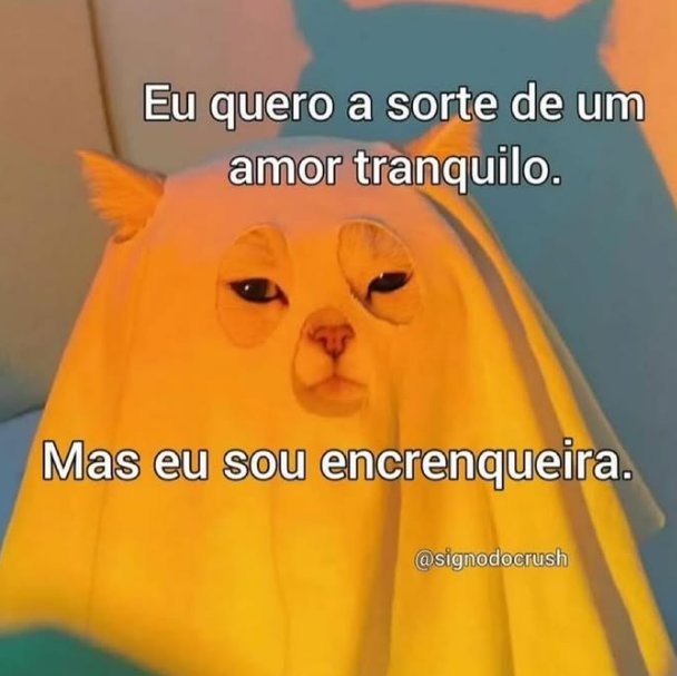 desabafos tweet media