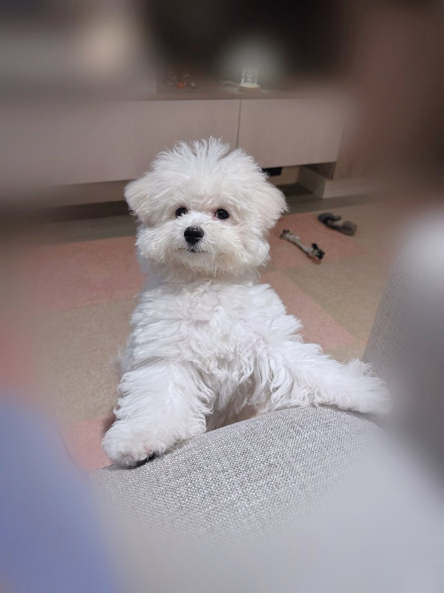AmanoCyuan's tweet photo. #HARU https://t.co/5jODnSb1SJ