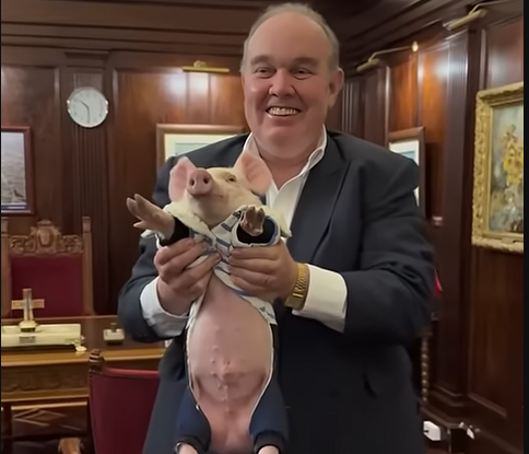 El Pulmon De Susan 2.0 tweet media