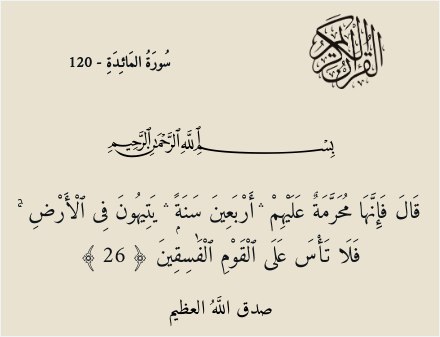 صدقه جاريه لروح كل من توفى 🕊️🍂 tweet media