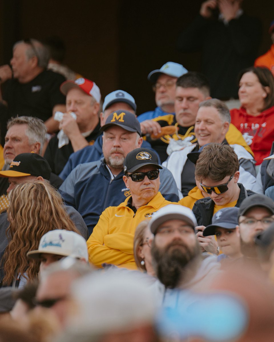 Mizzou Baseball tweet media