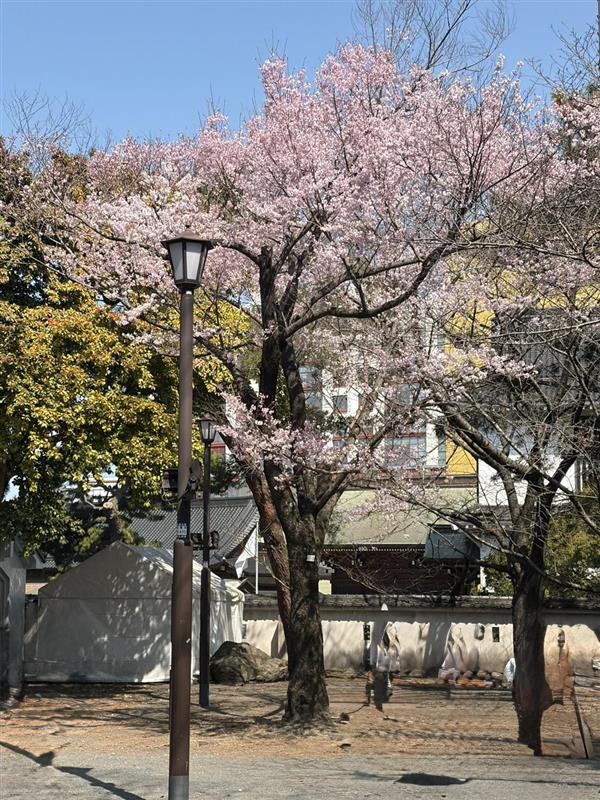 株式会社QCDクリエイト苅田 tweet media