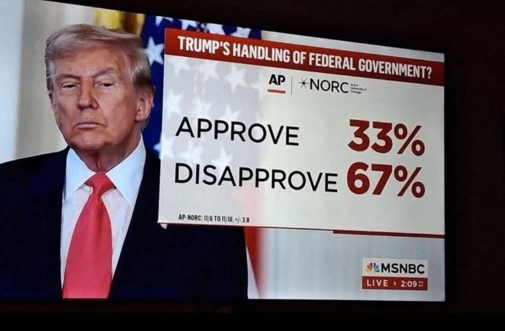 David Howes tweet media