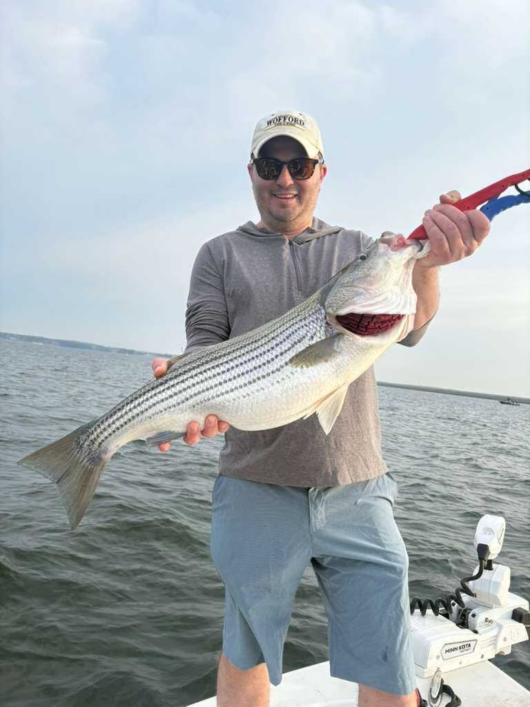 Hendricks Avenue Baptist Church tweet media