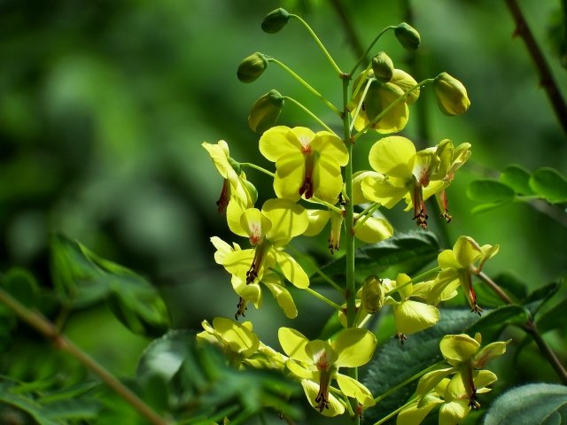 泉怜緒Leo Izumi🕊️ tweet media