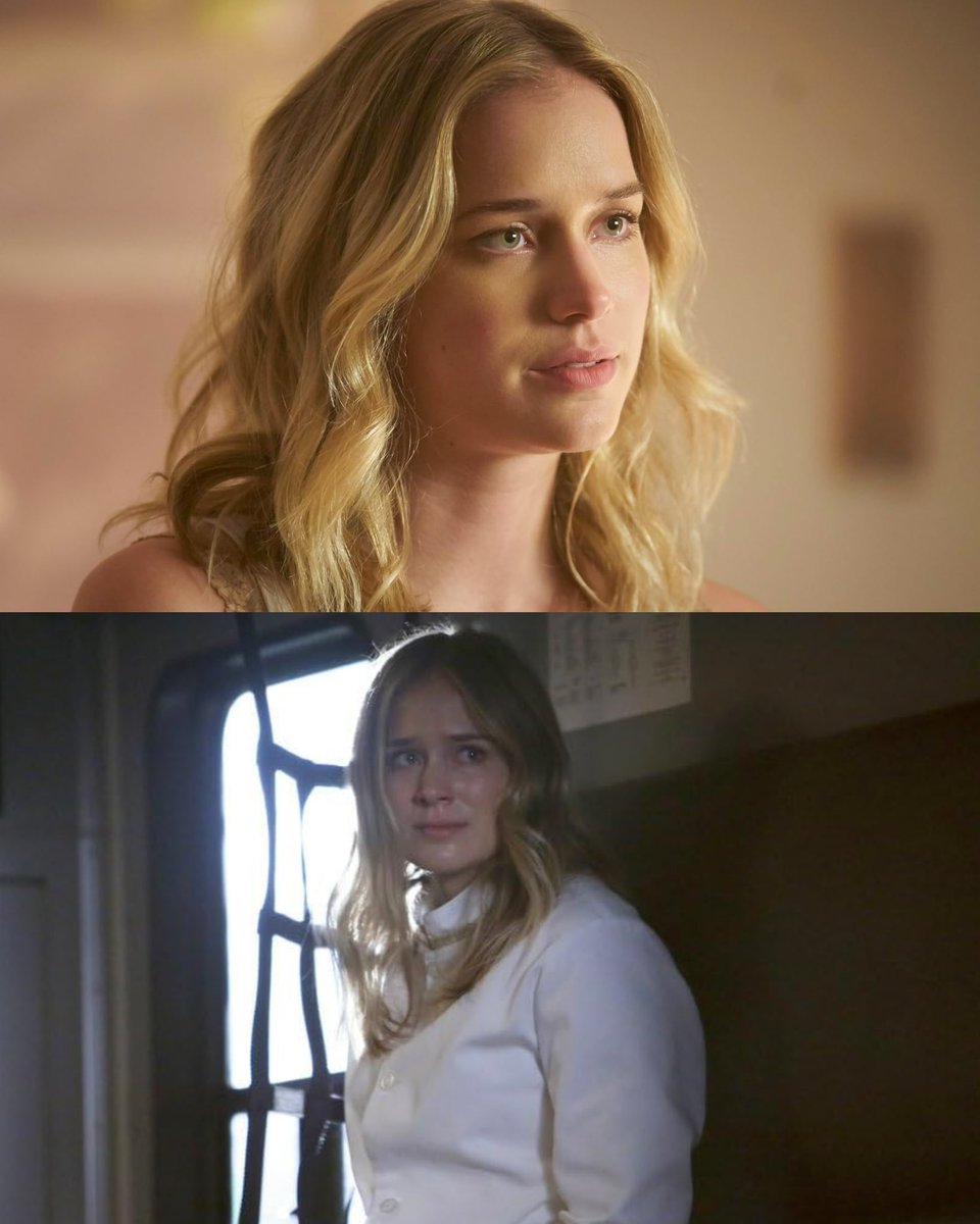 GoldenSeries tweet media