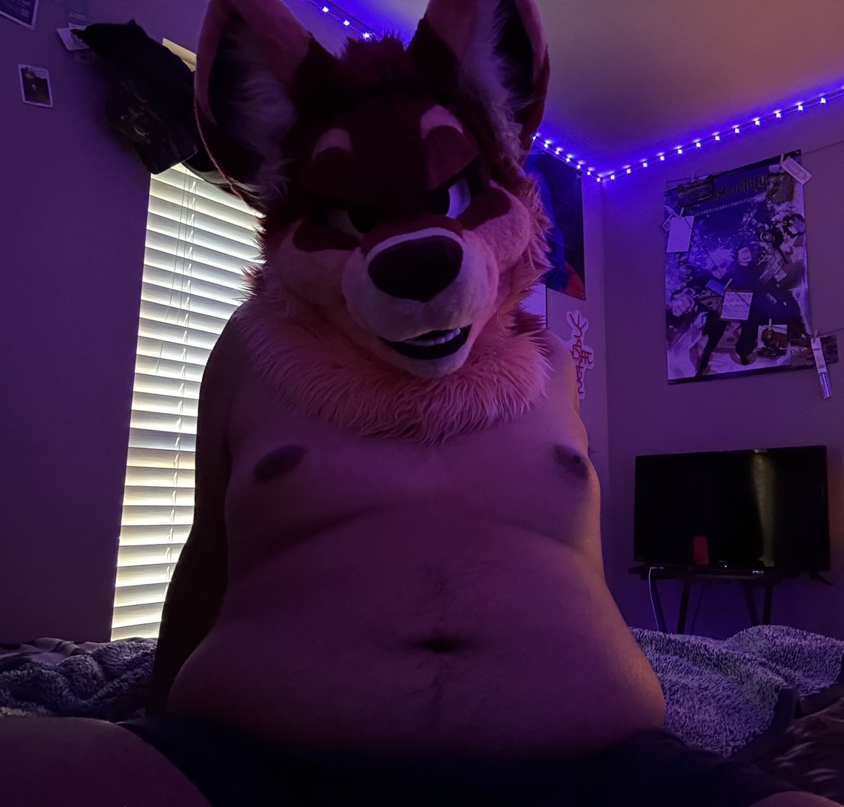 Axl 🌊 🔜 TFF 🔜 AC? tweet media