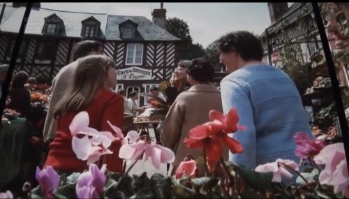 Nick Cucerzan tweet media