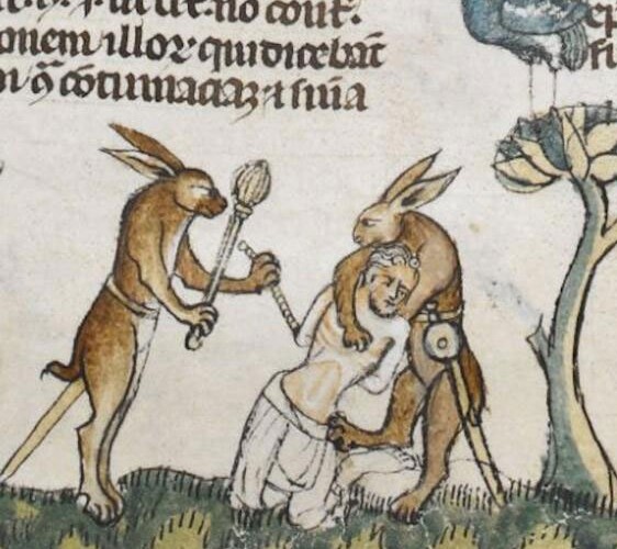 Bob Smith tweet media