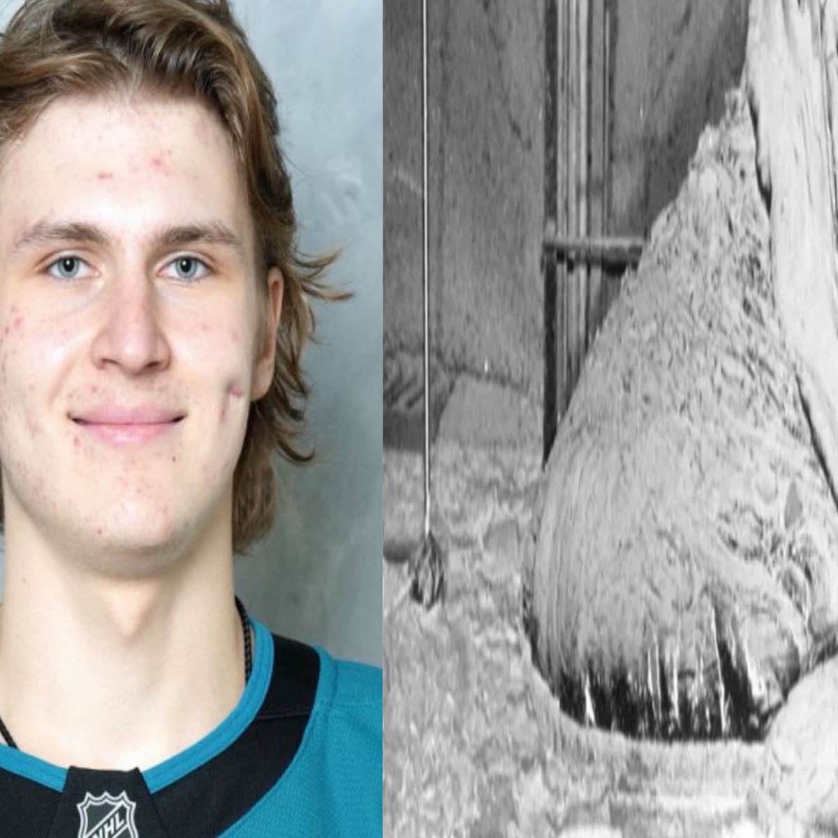 EVAN🧟♂️ tweet media