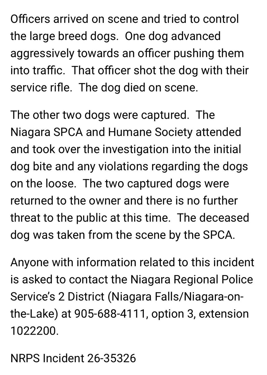 shanermurph's tweet image. #Niagara #NiagaraFalls