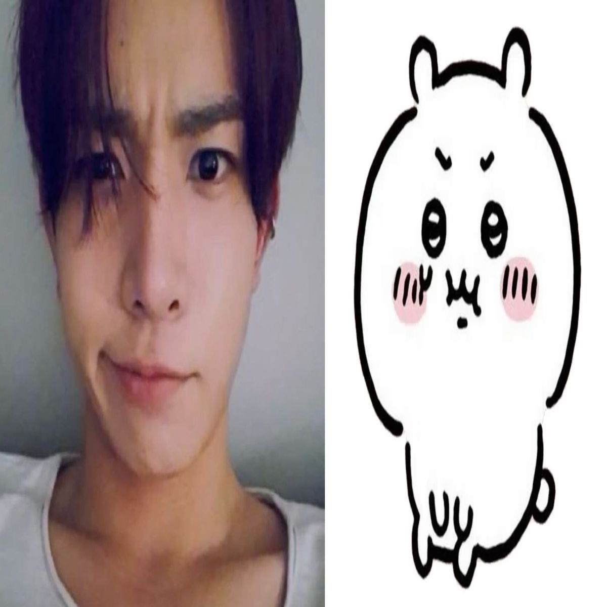 tofii | Enhypen is 7 tweet media