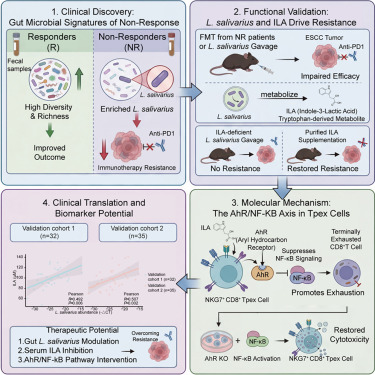 Waggoner Lab tweet media